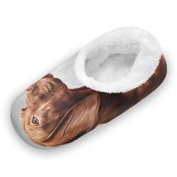 YOUJUNER Damen Hausschuhe Vizsla Hundeportrait Memory Schaum Slippers für Frauen Winter Warme Pantoffeln Geschlossene Haus Schuhe Bequeme Schlafzimmer Schuhe Baumwolleschuhe von YOUJUNER