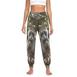 YOUJUNER Damen Netter Waschbär-Panda Haremshose Yogahose Tanzhose Jogginghose Yoga Pilates Hosen Freizeithosen Yoga Hose von YOUJUNER