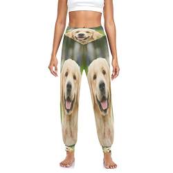 YOUJUNER Damen süßer Golden Retriever-Hund Haremshose Yogahose Tanzhose Jogginghose Yoga Pilates Hosen Freizeithosen Yoga Hose von YOUJUNER