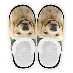 YOUJUNER Herren Damen Hausschuhe süßer Golden Retriever-Hund Slippers für Frauen Kinder Unisex Warme Pantoffeln Indoor Haus Schuhe Bequeme Schlafzimmer Schuhe von YOUJUNER