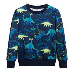 YOUNGSOUL Jungen Pullover Dinosaurier Sweatshirt Kinder Warme Rundhals Baumwolle Langarm T Shirts Blau Dino 92-104/Größe 100 von YOUNGSOUL