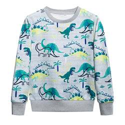 YOUNGSOUL Jungen Pullover Dinosaurier Sweatshirt Kinder Warme Rundhals Baumwolle Langarm T Shirts Grau Dino 104-110/Größe 110 von YOUNGSOUL