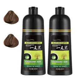 Yagerod Haarfärbe-Shampoo für lebendiges und wunderschönes Haar, dauerhaftes Haarfärbe-Shampoo für Männer und Frauen, 500 ml (Braun und Schwarz) (Braun 500 ml 2 Flaschen) von Yagerod
