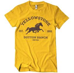 Yellowstone Offizielles Lizenzprodukt Dutton Ranch - Montana Herren T-Shirt (Gold), Groß von Yellowstone