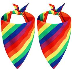 2 Stücke Regenbogen Bandanas Buntes Streifen Haarband Quadratisch LGBT Pride Bandana Zubehör Herren und Damen Gay Party Feier Kostüm Zubehör von Yolev