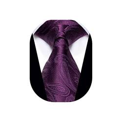 YourTies 8,9 cm Herren-Krawatte, Paisleymuster, Seiden-Krawatten für Herren, formelle Business-Party-Krawatte, Violett_1, Einheitsgröße von YourTies