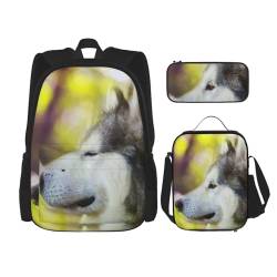 YsoLda Rucksack-Set, Schultasche, Büchertasche, Rucksack, 3-teiliges Set mit Lunchtasche, Federmäppchen,Alaskan Malamute Bokeh Haustiere Hunde süß von YsoLda