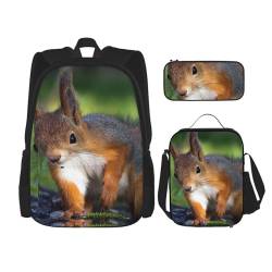 YsoLda Rucksack-Set, Schultasche, Büchertasche, Rucksack, 3-teiliges Set mit Lunchtasche, Federmäppchen,Süßes Eichhörnchen von YsoLda