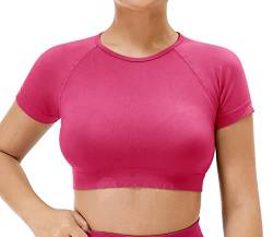 ZAAYO Damen Sport T Shirt Gym Top Slim Basic Summer Crop Kurzarm Frauen Sportoberteil Hell-Pink L von ZAAYO