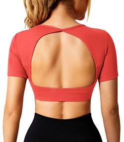 ZAAYO Sport Shirt Damen Backless Short Sleeved Halter Crop Top Highly Stretchy Fitness Stitching Shirts Tomatenrot X-Small von ZAAYO