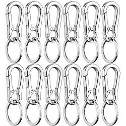 ZEACCT 12 Stück Karabiner Schlüsselanhänger mit Schlüsselring, Abnehmbare Karabinerhaken, Metall Karabinerhaken mit Abnehmbare Schlüsselring, Schlüsselring Karabiner für Herren und Damen von ZEACCT