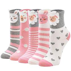 ZFSOCK Kindersocken Mädchen Sneaker Socken Kinder aus Baumwolle Bunte Lustige Tiermuster Niedliches Knöchelsocken 2-4 Jahre alt,5 Paare,20-22,Tiermuster-1 von ZFSOCK