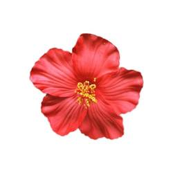 Hawaiianische Blumen-Haarspange für Damen und Mädchen, künstliche Clips aus Schaumstoff, Hochzeit, Luau Pa, Strand, für Frauen, tropische Brautschmuck von ZOUBAOQ