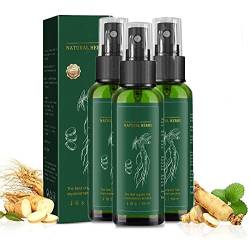 KORTIN Red Ginseng Hair Regeneration Spray, KORTIN RotGinseng HaarRegenerations Serum Spray, Korea Ginseng Haar Nachwachsen Serum Spray, Ingwer Haar Wachstum Spray Serum für Männer & Frauen (3 Pcs) von ZQTWJ