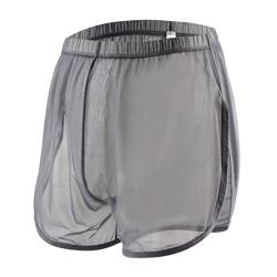 ZUOLAIYIN Herren Boxershorts Durchsichtige Trunks Atmungsaktive Unterwäsche Lose Mesh Sexy Sheer Transparent, 1er-Pack, Grau (8382), M von ZUOLAIYIN