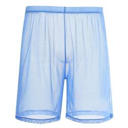 ZUOLAIYIN Herren Sexy Mesh See Through Trunks Stretch Atmungsaktive Unterwäsche Shorts Weiche Lockere Boxershorts von ZUOLAIYIN