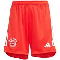 adidas Originals Shorts FC Bayern (1-tlg) von adidas Originals