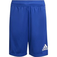 adidas Sportswear Shorts B HEATHER SHORT von adidas Sportswear