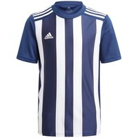 adidas Performance Fußballtrikot Striped 21 Trikot kurzarm Kids von adidas performance