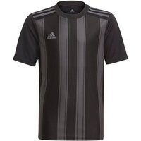 adidas Performance Fußballtrikot Striped 21 Trikot kurzarm Kids von adidas performance