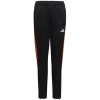 adidas Performance Trainingshose TIRO23 CBTRPNTY von adidas performance