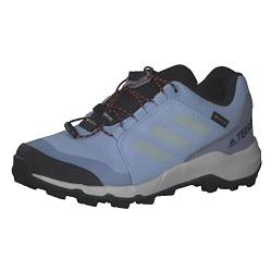 ADIDAS Terrex GTX Walking-Schuh, Bludaw/Greone/Sogold, 37 1/3 EU von adidas