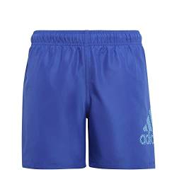 Adidas Jungen Bos Clx Sl Swim Shorts, Semi Lucid Blue/Signal Cyan, 11-12 Years von adidas