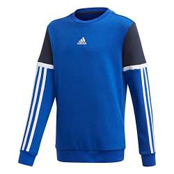 Adidas Unisex Kinder Bold Sweatshirt, Royblu/Legink, 164 von adidas