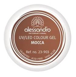 Alessandro International Colour Gel - Colour Gel 903 Mocca von alessandro