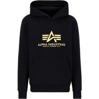 Alpha Industries Hoodie ALPHA INDUSTRIES Men - Hoodies Basic Hoody Carbon von alpha industries