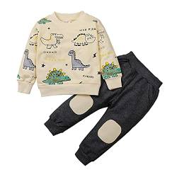 amropi Baby Jungen Dinosaurier Sweatshirts Langarm und Jogging Hose Outfit Kleidung Set Grau Schwarz, 2-3 Jahre von amropi