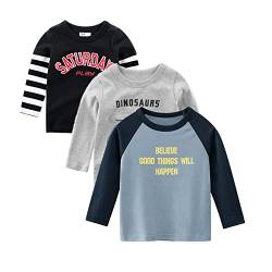 amropi Baby Jungen Gestreift T-Shirt 3er Pack Langarm Baumwolle Dinosaurier Tee Shirt Tops Schwarz Grau Blau,2-3 Jahre von amropi