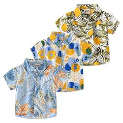 amropi Jungen 3er Pack Kurzarm Hawaii Hemd Baumwolle Sommer Freizeit Hemden Grün Blau Gelb,2-3 Jahre von amropi