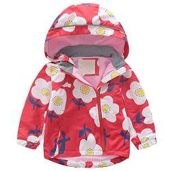 amropi Kinder Mädchen Windbreaker Jacken Regenjacke Kapuzenmantel mit Fleecefutter Rote Blume, 2-3 Jahre von amropi