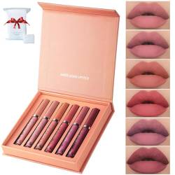 Havenlyn The Everlasting Liquid Lipstick Matte Set of 6, Highly Pigmented Lipstick Matte Long Lasting Smudge-proof Non-stick Cup, Everlasting Liquid Lipstick Gift Set for Women (Spring Summer Set) von behound