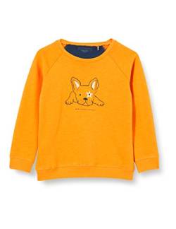 bellybutton Baby-Jungen Sweatshirt T-Shirt, Sunflower|Yellow, 62 von bellybutton