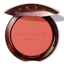 TERRACOTTA BLUSH effect face 1 u