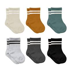 bistyle Baumwolle 6 Paar Baby Socken für Neugeborene Säugling 0-3 Monate bis 2-3 Jahre | Duftend Baby Socken | Jungen Mädchen Kleinkind Socken (as3, age, 6_months, 12_months, Senf (Gestreift)) von bistyle