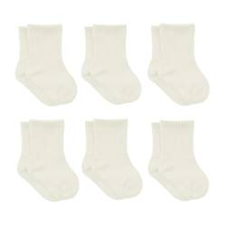 bistyle Baumwolle 6 Paar Baby Socken für Neugeborene Säugling 0-3 Monate bis 2-3 Jahre | Neugeborene Babysocken | Jungen Mädchen Kleinkind Socken (DE/NL/SE/PL, Alter, 2 Jahre, 3 Jahre, EcruEcru) von bistyle