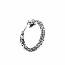 budiniao Kompakter, nordischer Wikinger Ouroboros Ring aus Silber. Stilvoller und zarter nordischer Wikinger Ouroboros Ring aus 925er Sterlingsilber von budiniao