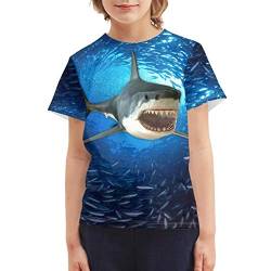chaqlin T-Shirt für Teenager, Jungen, Mädchen, 3D-Druck, buntes Design, Grafik-T-Shirt mit kurzen Ärmeln für Kinder von 3–16 Jahren, hai, 15-16 Jahre von chaqlin