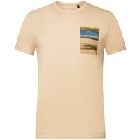 Esprit Collection T-Shirt Rundhals-T-Shirt, 100 % Baumwolle (1-tlg) von esprit collection