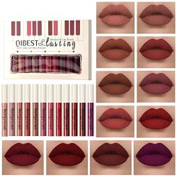 Mattes Lipgloss-Set | Langanhaltendes Lip Glaze Kit für Mädchen,12-teiliges mehrfarbiges Lippen-Make-up, ideal als Geschenk für Mutter, Ehefrau, Freundin, Töchter, Kollegen und mehr Fanelod von fanelod