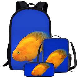 fifbird Fisch-Rucksack und Lunchbox für Jungen, Schulrucksack, Mädchen, Büchertasche, isolierte Lunchbox-Set für Grundschule von fifbird