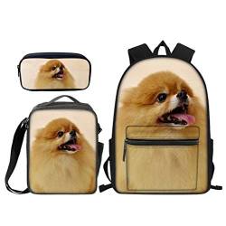 fifbird Kinder-Rucksack-Set, 3-teilig, Schmetterling, für Jungen und Mädchen, Schultaschen, Lunch-Tasche, Federmäppchen, 3-in-1, Pomeranian a, Einheitsgröße, Tagesrucksäcke von fifbird