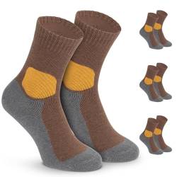 gipfelsport Wandersocken aus Merino Wolle dick Braun (3 x Paar - Set) 28-31 von gipfelsport