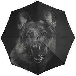 Automatik Regenschirm Stockschirm Essentials Dog mit wunderschönem Hundemotiv von happy rain