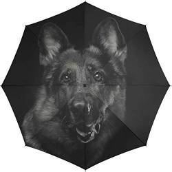 Automatik Regenschirm Taschenschirm Essentials Dog mit wunderschönem Hundemotiv von happy rain