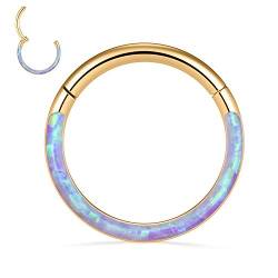 16G Opal Nasenringe Septum Clicker 316L Chirurgisches Stahlsegment Helix Knorpel Ohrringe Creolen Daith Piercing Schmuck von hengkaixuan