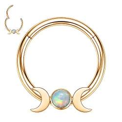 16G Septum Nasenring Gold Daith Ohrringe Chirurgenstahl Conch Ohrring Higned Segment Seamless Clicker Ring Opal Septum Ring Septum Jewellery Rook Helix Cartilage Tragus Helix Earring 10mm(with Moon) von hengkaixuan